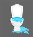 Toilet was flooded. Water is pouring from toilet. Clogged water supply Royalty Free Stock Photo