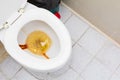 Toilet white bowl ceramic full of urine in lavatory room public