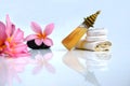 Toiletries with plumeria flower and soap