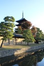 Toji pagoda in the early morning, in Kyoto, Japan