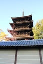 Toji pagoda in the early morning, in Kyoto, Japan