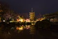 Toji pagoda at night