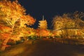 Toji Pagoda Temple with red maple leaves or fall foliage in autumn season. Colorful trees, Kyoto, Japan. Nature and architecture