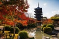 Toji Temple at autumn, Kyoto