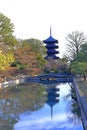 Toji Temple, a Historic Buddhist temple with a 5-story wooden pagoda