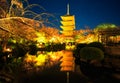 Toji temple by night, Kyoto Japan