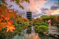 Toji temple and wood pagoda in autumn Kyoto, Japan Royalty Free Stock Photo