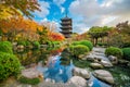 Toji temple and wood pagoda in autumn Kyoto, Japan Royalty Free Stock Photo