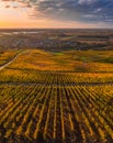 Tokaj, Hungary - Aerial panoramic view of the world famous Hungarian vineyards of Tokaj wine region with town of Tokaj Royalty Free Stock Photo