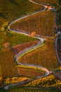 Tokaj, Hungary - Aerial top down view of the world famous Hungarian vineyards of Tokaj wine region