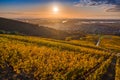 Tokaj  Hungary - Aerial view of the world famous Hungarian vineyards of Tokaj wine region with town of Tokaj Royalty Free Stock Photo