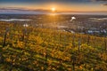 Tokaj, Hungary - Aerial view of the world famous Hungarian vineyards of Tokaj wine region with town of Tokaj and golden sunrise