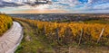 Tokaj, Hungary - Panoramic view of the world famous Hungarian vineyards of Tokaj wine region with beautiful colorful sky