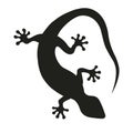 Tokay gekko silhouette on white background. Black hand drawn vector art of a gekko. Illustration of a lizard