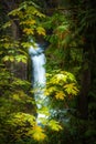 Toketee Falls Douglas County Oregon