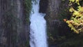 Umpqua or Toketee waterfall is seen in the foreground of a forest