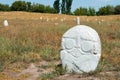 Kurgan stelae at Ruins of Balasagun in Tokmok, Kyrgyzstan. Balasagun is part of the World Heritage