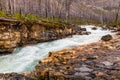 Tokumm Creek at Marble Canyon in the Rocky Mountains Royalty Free Stock Photo