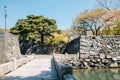 Tokushima Central Park Castle at spring in Shikoku, Japan