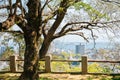 Tokushima Central Park and city view in Shikoku, Japan