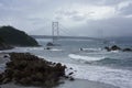 Tokushima Japan Bridge