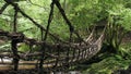 Oku-Iya double vine bridge or Oku-Iya Nijuu Kazura bridge. A suspension bridge made of the plant called Shirakuchikazura.