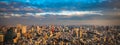 Tokyo aerial panoramic view Royalty Free Stock Photo