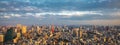 Tokyo aerial panoramic view Royalty Free Stock Photo