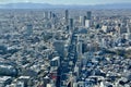 Tokyo aerial picture under the snow