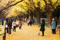 Tokyo autumn colors