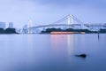 Tokyo Bay and Rainbow Bridge in the evening Royalty Free Stock Photo