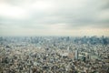 Tokyo bird eye view Royalty Free Stock Photo