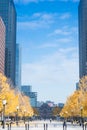 Tokyo buildings skyscraper at Chiyoda City, view from The Imperial Palace. Royalty Free Stock Photo