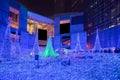 Tokyo christmas and winter season Illuminations