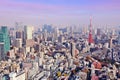 Tokyo city aerial view