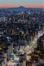 Tokyo city in evening with Mountain Fuji