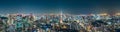 Tokyo city skyline at railway station surround by modern highrise building at twilight time. Royalty Free Stock Photo