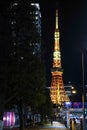 Tokyo city street view with Tokyo Tower at twilight Nov 29 2023