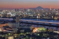 Tokyo city view with Mount Fuji Royalty Free Stock Photo