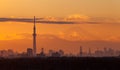 Tokyo city view with mt.fuji Royalty Free Stock Photo