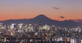 Tokyo city view at night with Mountain Fuji Royalty Free Stock Photo