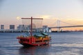 Tokyo city view,Rainbow bridge Royalty Free Stock Photo