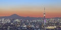 Tokyo city view and tokyo sky tree with Mt Fuji Royalty Free Stock Photo