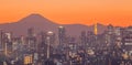 Tokyo city view with Tokyo tower and Mountain Fuji Royalty Free Stock Photo