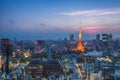 Tokyo city view and Tokyo Tower Royalty Free Stock Photo