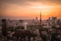 Tokyo city view and Tokyo Tower at Sunset Royalty Free Stock Photo