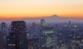 Tokyo cityscape and Mountain fuji at twilight