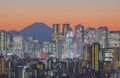 Tokyo cityscape and Mountain fuji Royalty Free Stock Photo