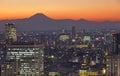 Tokyo cityscape and Mountain fuji at twilight Royalty Free Stock Photo