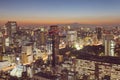 Tokyo cityscape and Mountain fuji at twilight Royalty Free Stock Photo